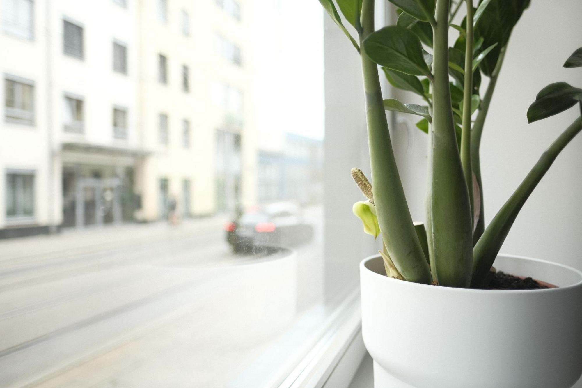 Zur Alten Konditorei Apartment